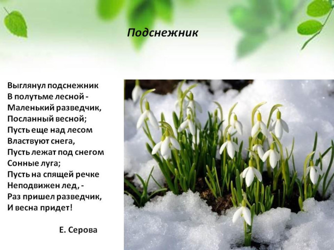 Пластилинография "Подснежники" Пластилинография "Подснежники".