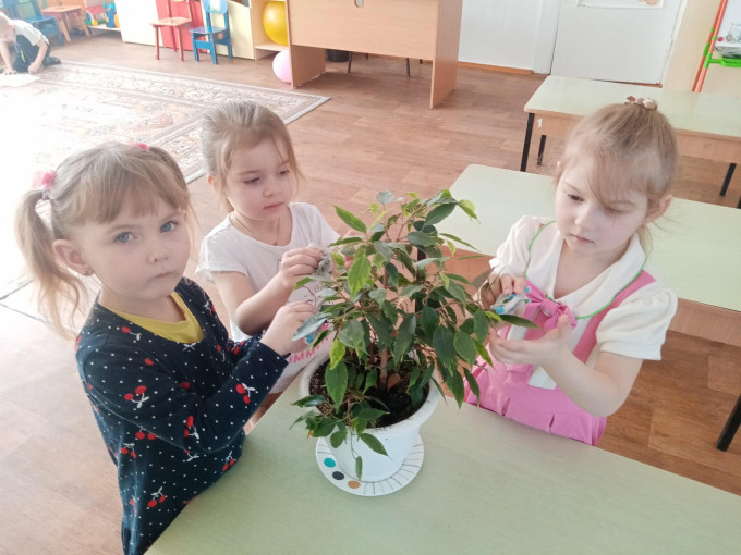 Уход за комнатными растениями в детском саду! Уход за комнатными растениями в детском саду!.